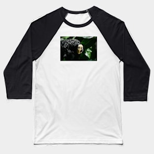 Ape / Swiss Artwork Photography Baseball T-Shirt